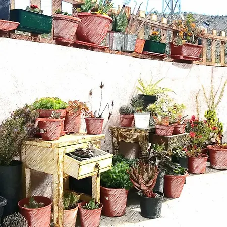 Casa Aguila 2.0 Bed & Breakfast Los Valverde