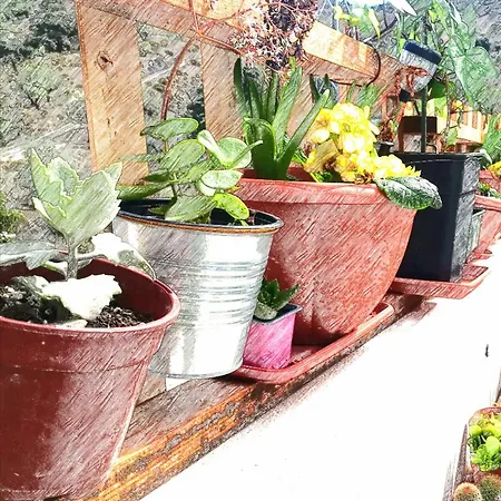 Casa Aguila 2.0 *